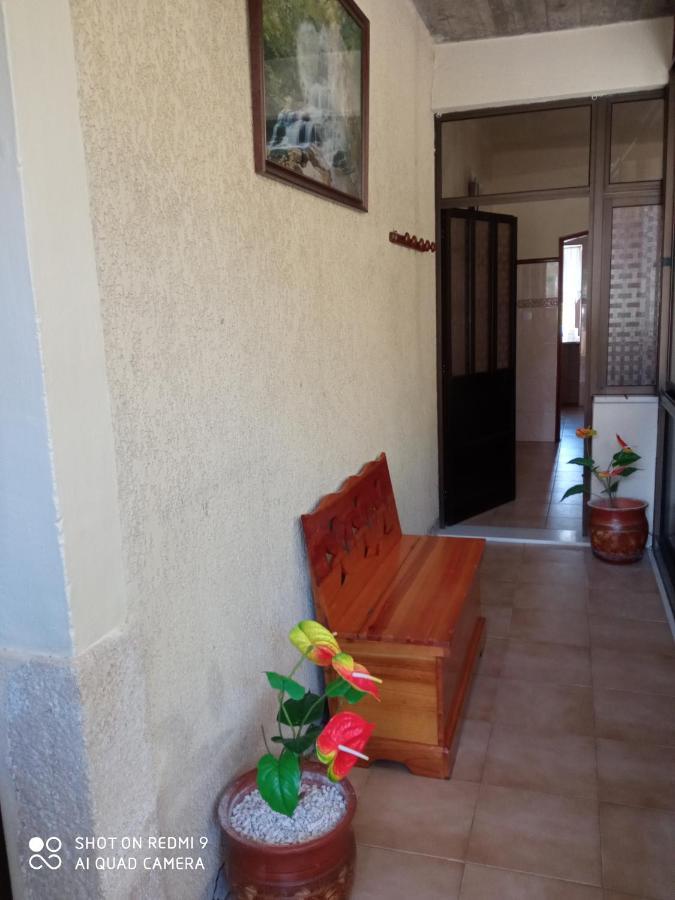 Casa Dos Grilos Penacova Exterior photo